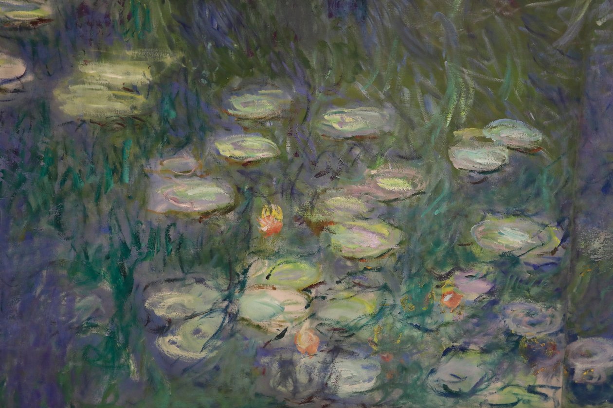 Tavirózsa (olaj, vászon) alkotó: Claude Monet