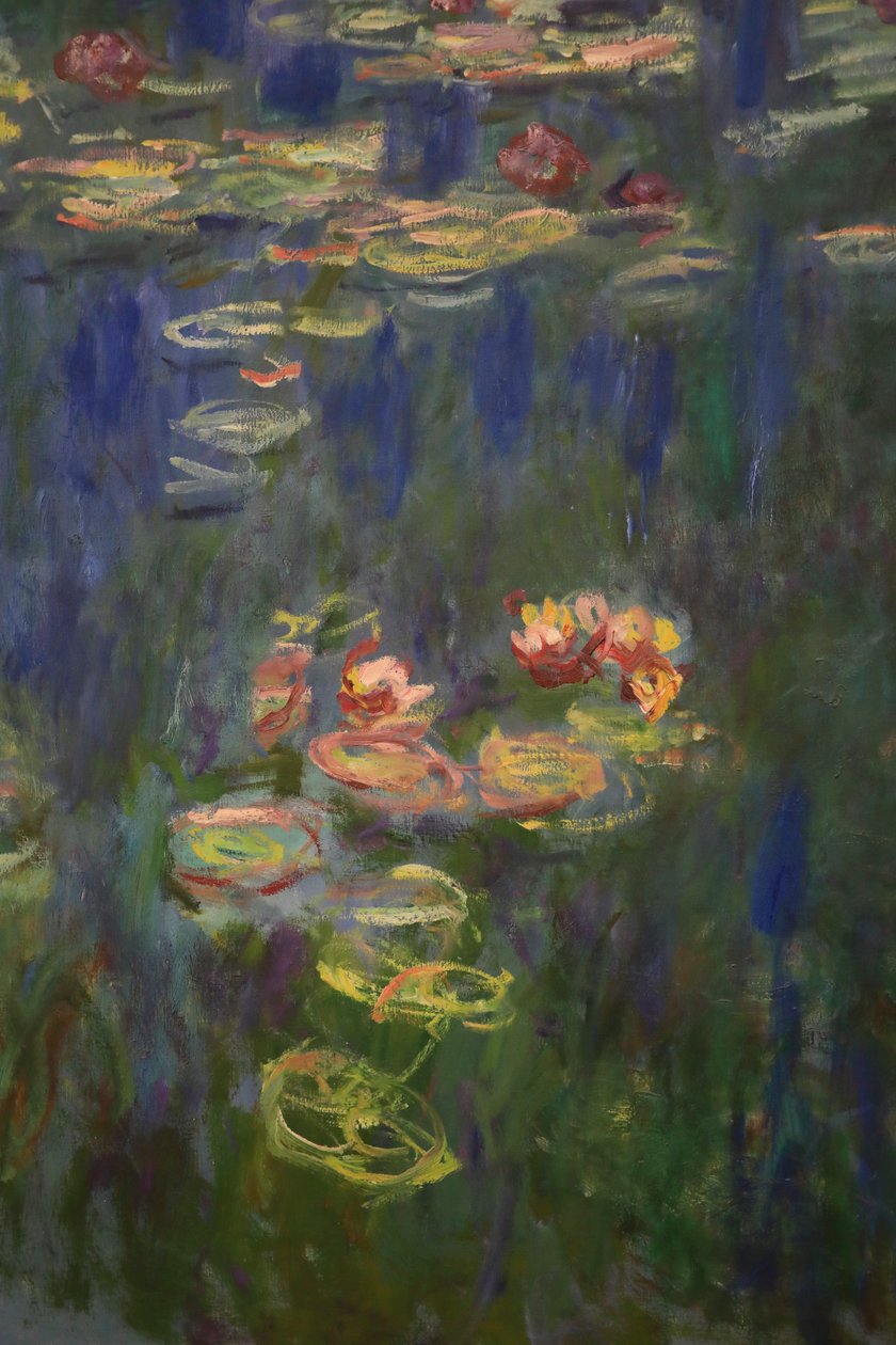 Tavirózsa (olaj, vászon) alkotó: Claude Monet