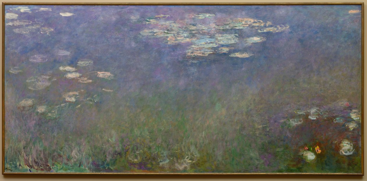 Tavirózsa Agapanthus, c. 1915-26. alkotó: Claude Monet