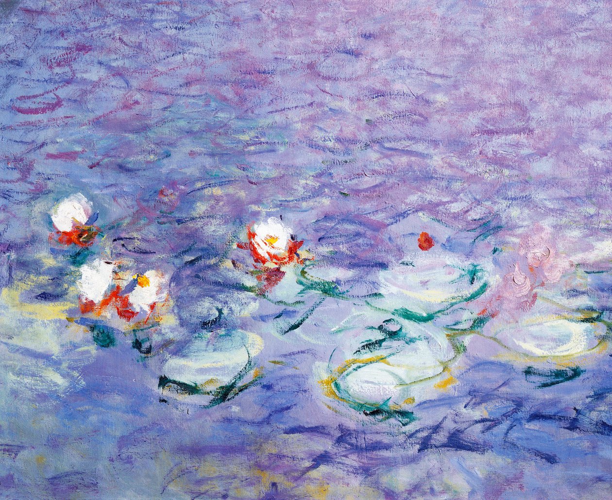 Tavirózsa, Claude Monet, részlet alkotó: Claude Monet
