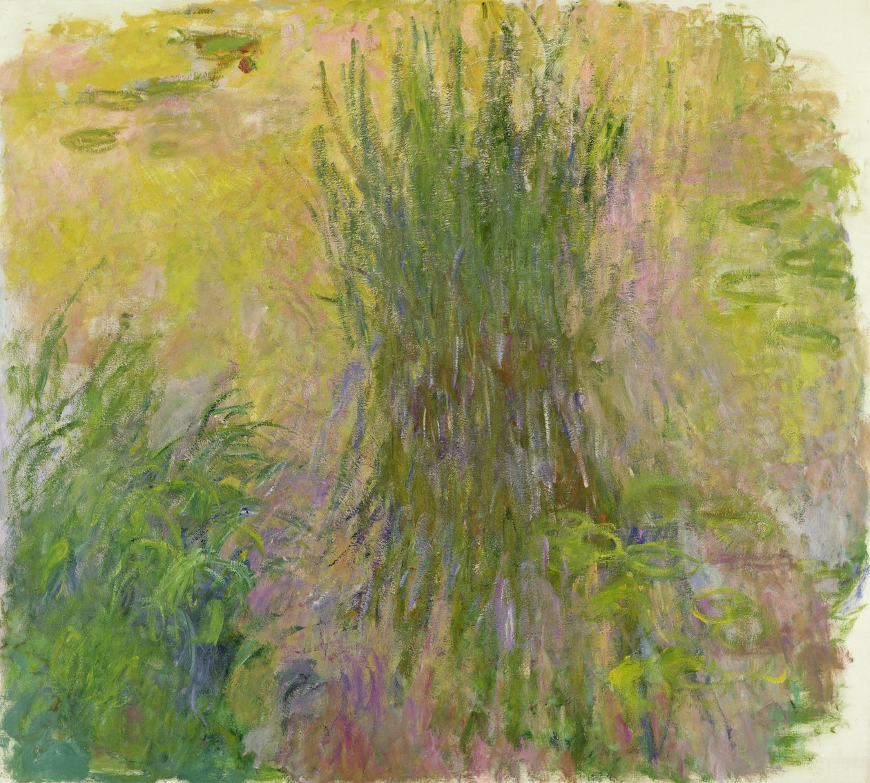 Tavirózsa (olaj, vászon) (lásd még: 382330) alkotó: Claude Monet