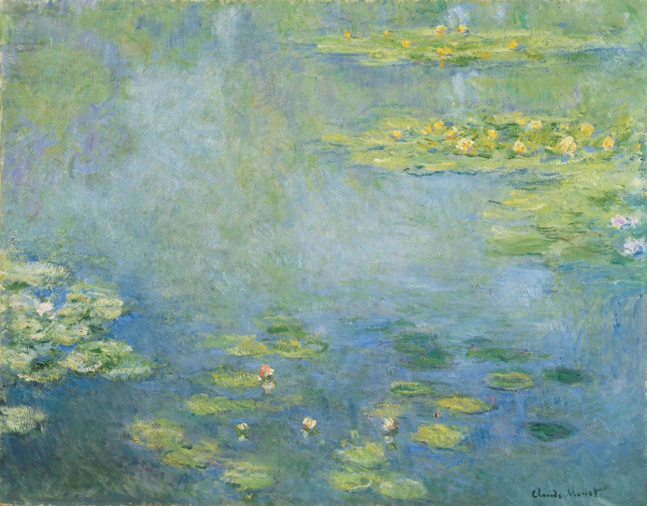 Tavirózsa (olaj, vászon) alkotó: Claude Monet