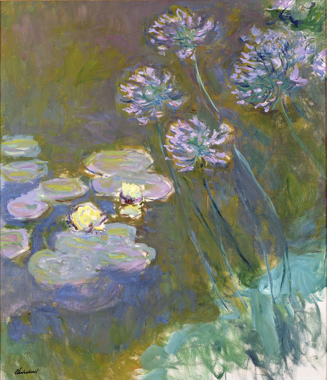 Tavirózsa és Agapanthus alkotó: Claude Monet