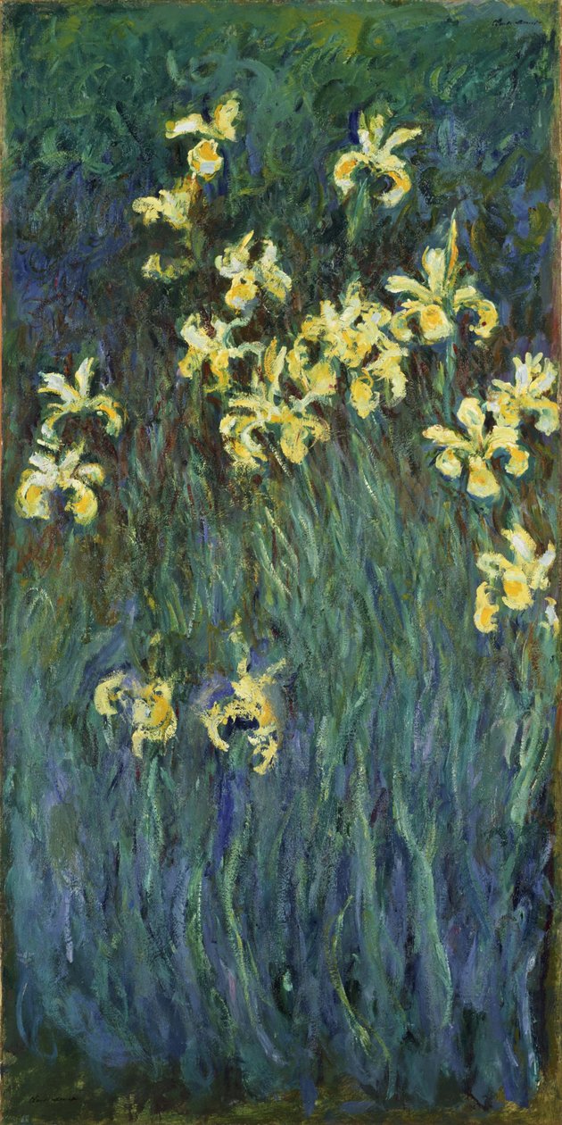 Sárga íriszek, 1914-1917 alkotó: Claude Monet