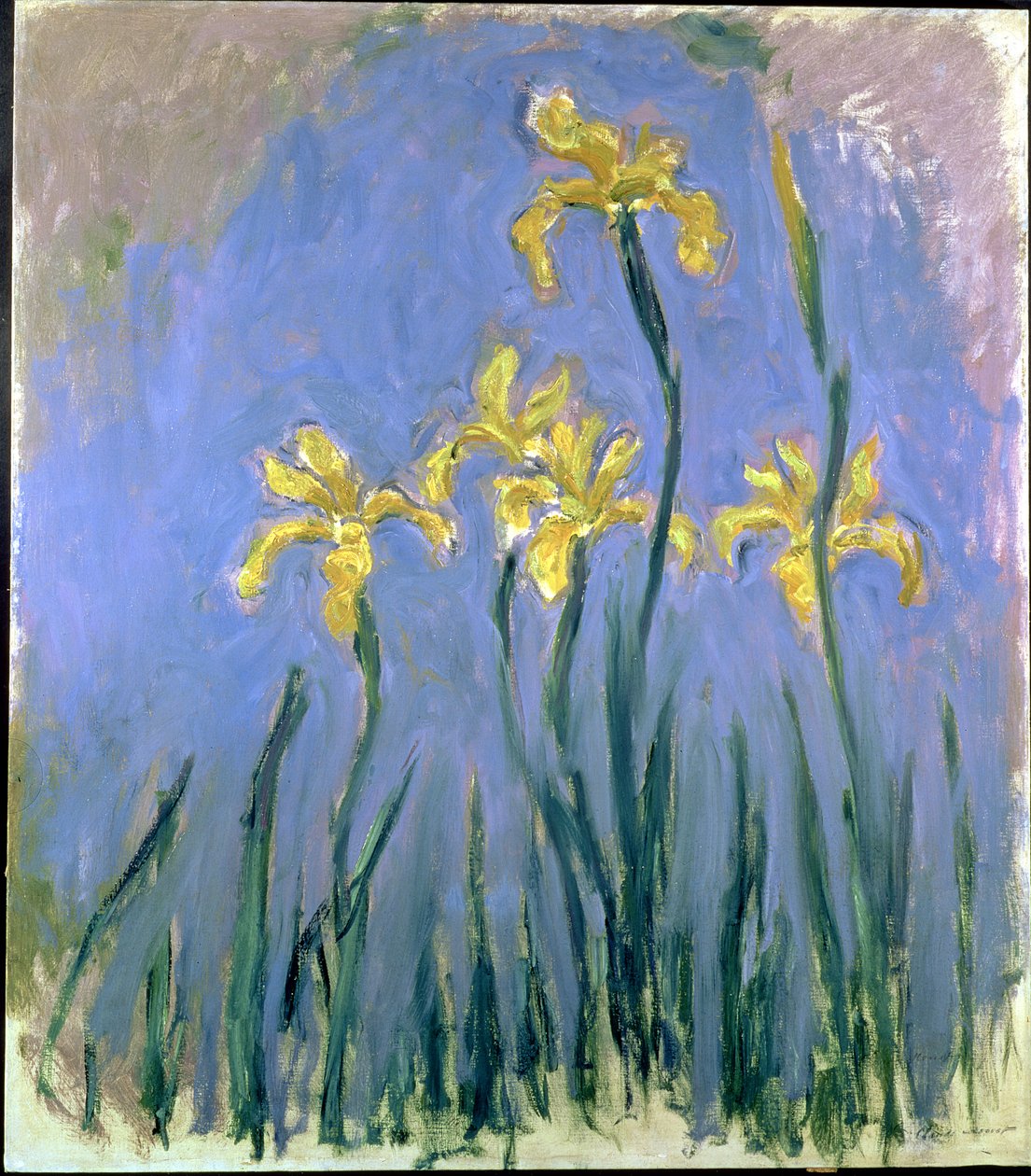 Sárga íriszek; Les Iris Jaunes, 1918-1925 körül (olaj, vászon) alkotó: Claude Monet