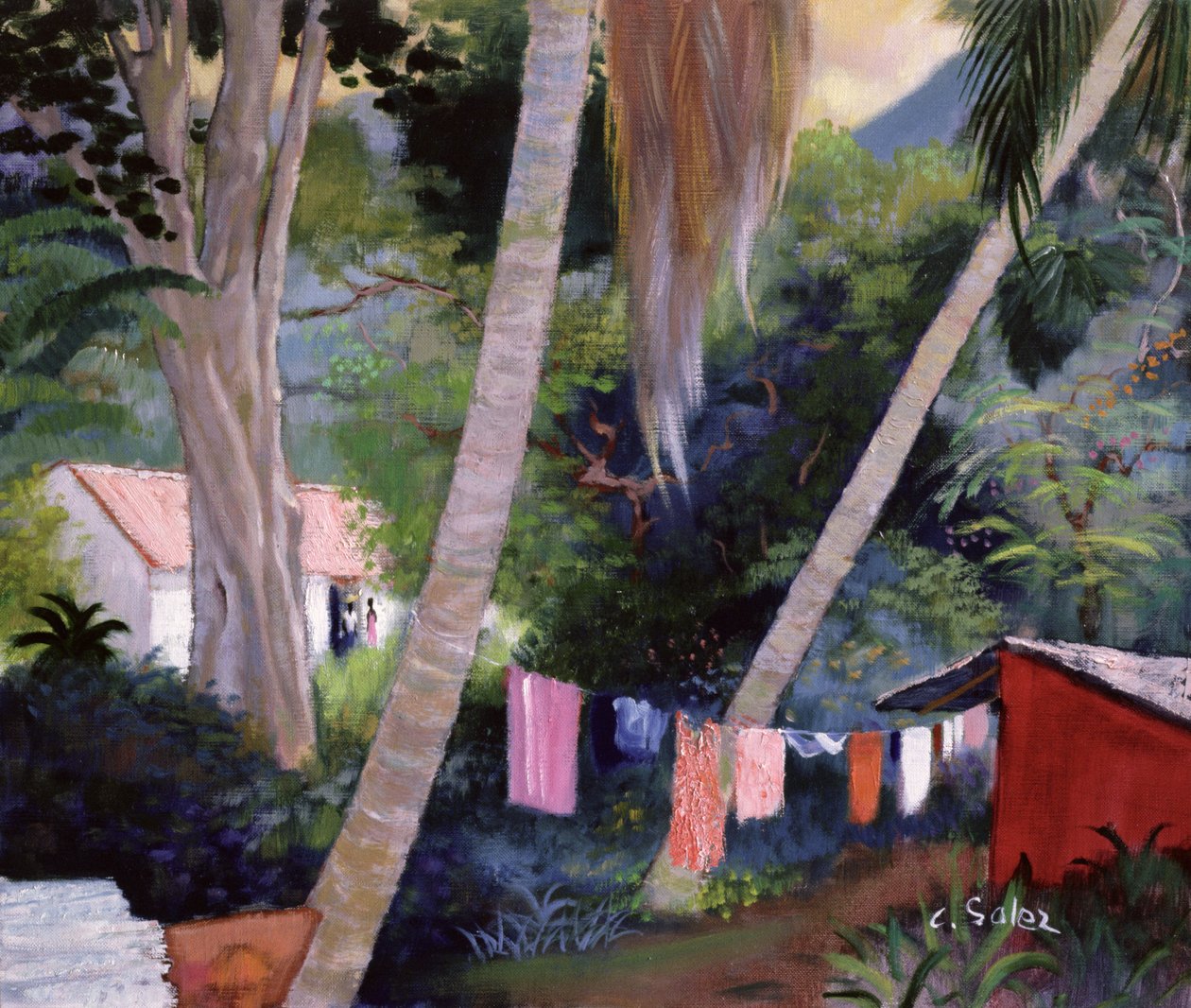 Mosás szárítás, Guadeloupe alkotó: Claude Salez