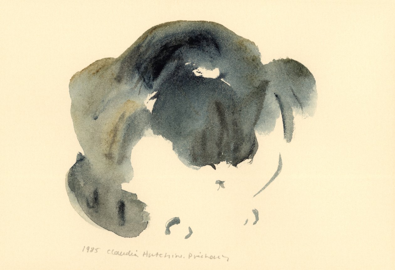 Macska, 1985 (akvarell) alkotó: Claudia Hutchins Puechavy