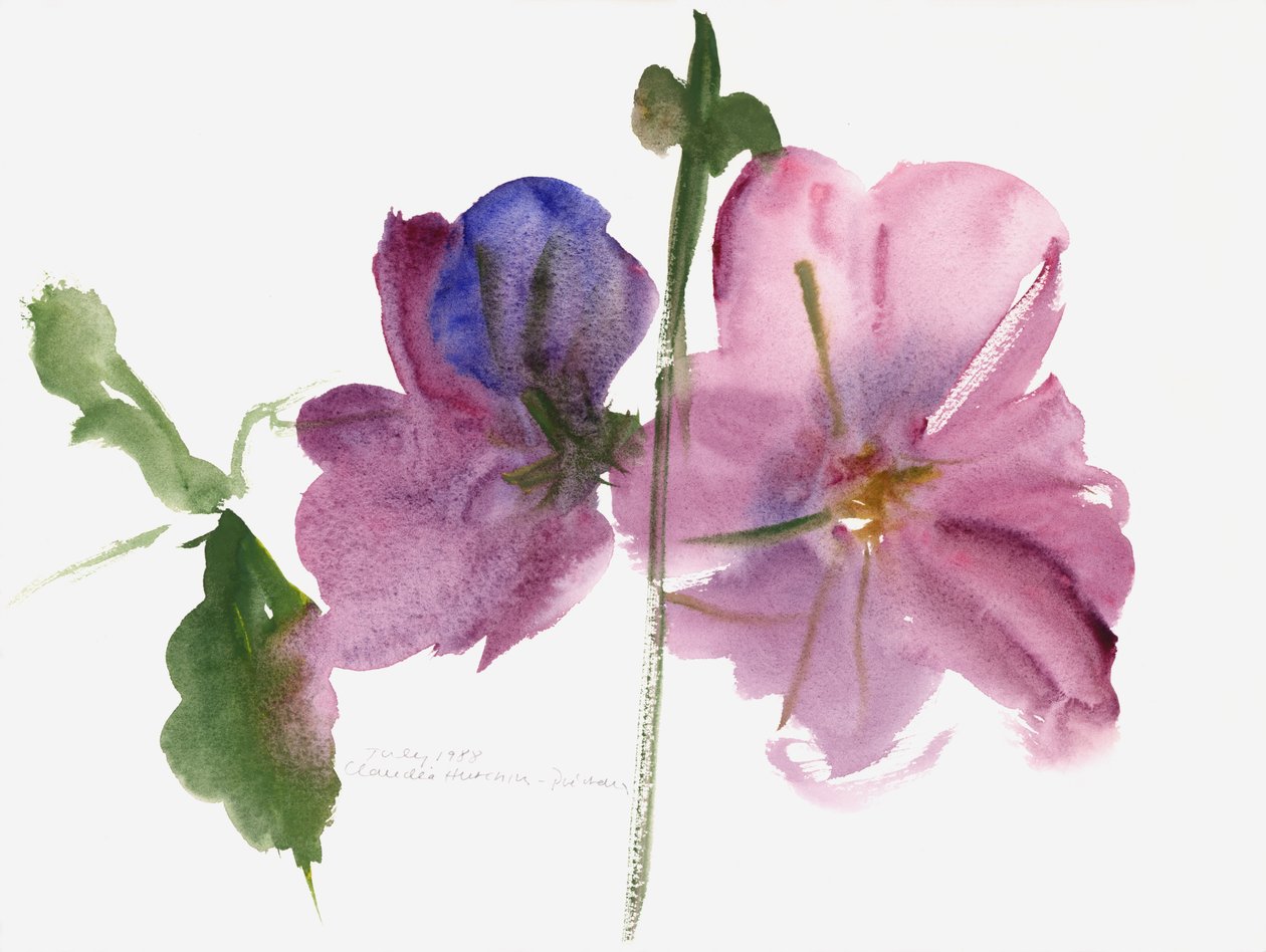 Hollyhocks, 1988 (akvarell) alkotó: Claudia Hutchins Puechavy