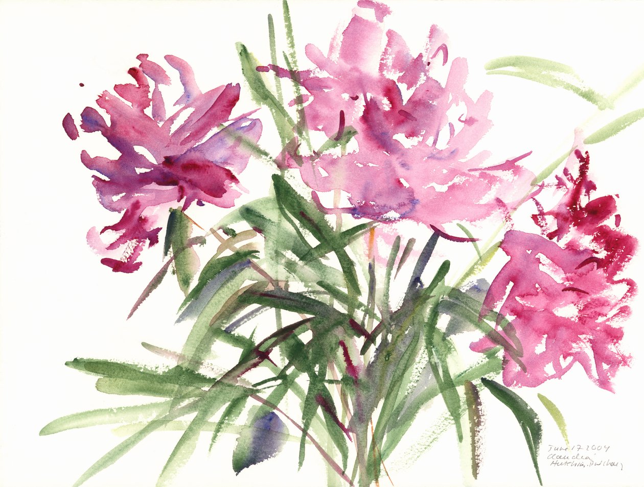 Pünkösdi rózsa, 2004 (akvarell) alkotó: Claudia Hutchins Puechavy