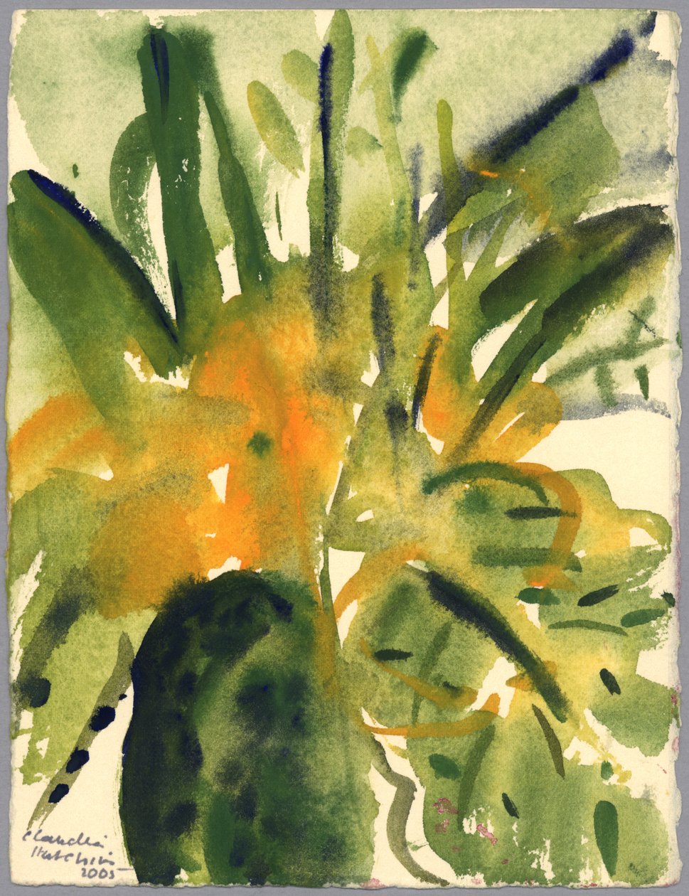 Primroses, 2005 (akvarell) alkotó: Claudia Hutchins Puechavy
