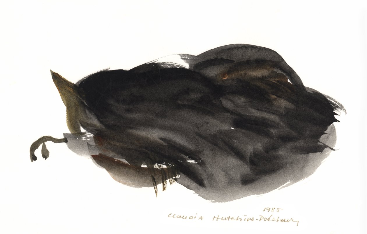 Alvó macska, 1985 (akvarell) alkotó: Claudia Hutchins Puechavy