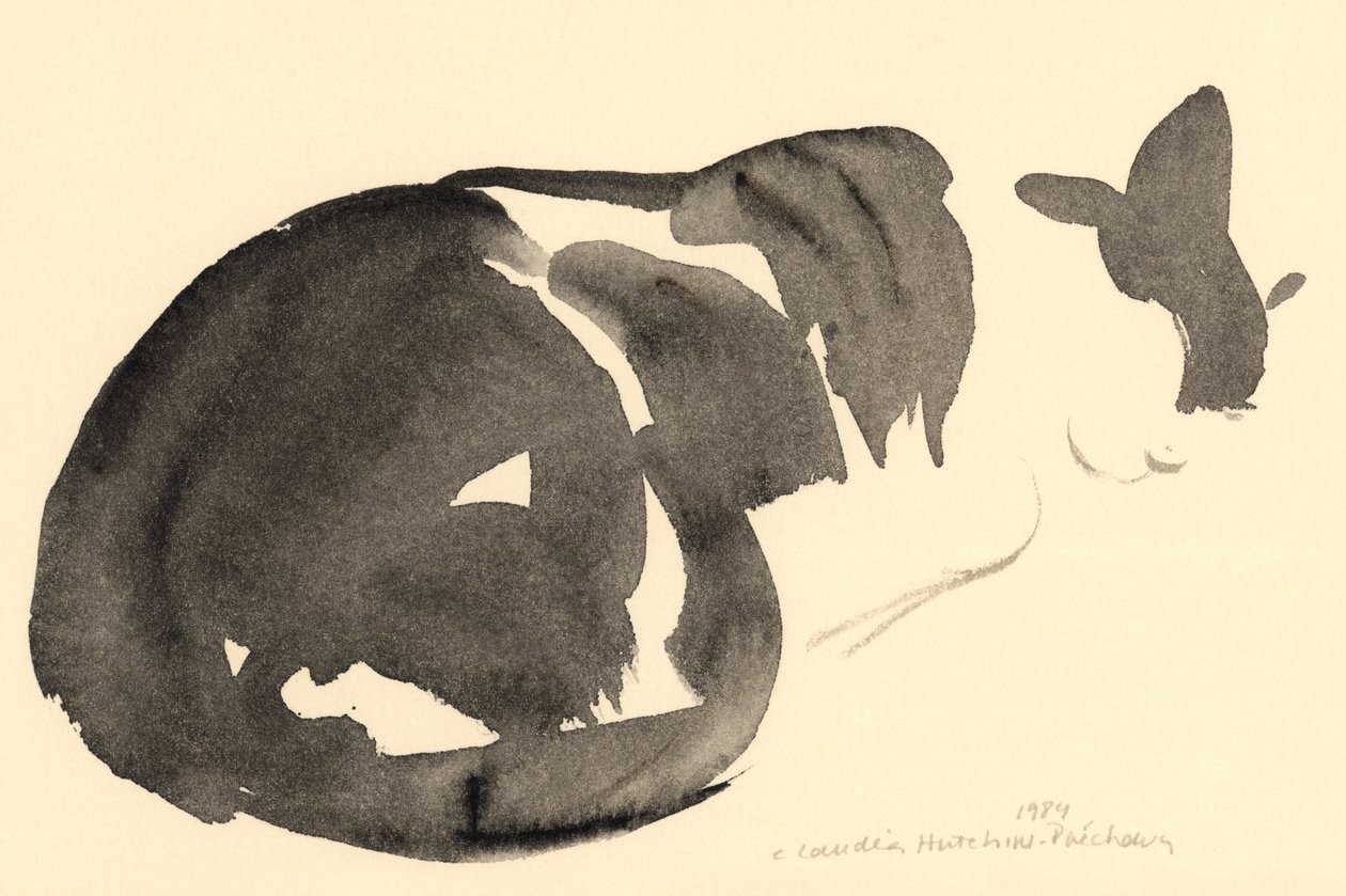 Alvó macska, 1984 (akvarell) alkotó: Claudia Hutchins Puechavy
