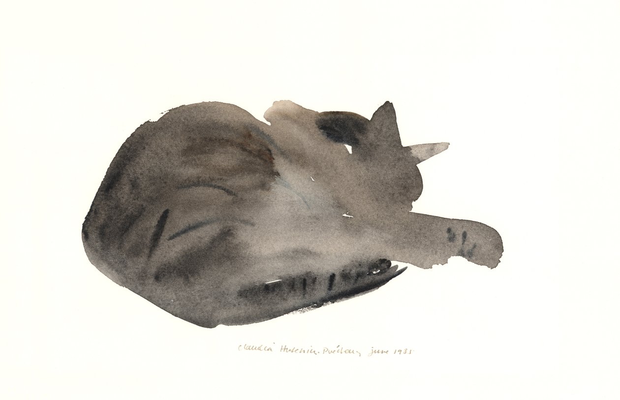 Alvó macska, 1985 (akvarell) alkotó: Claudia Hutchins Puechavy