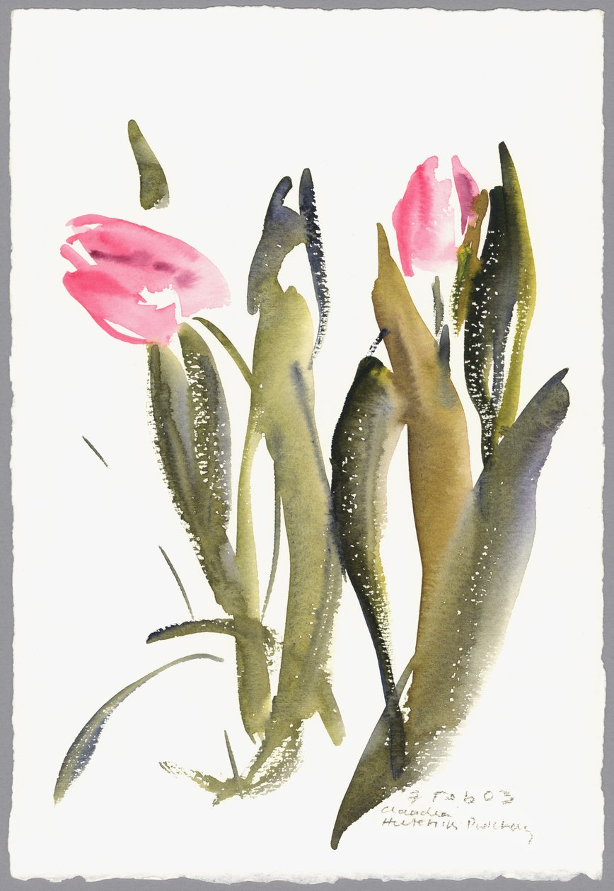Tulipánok, 2003 (akvarell) alkotó: Claudia Hutchins Puechavy