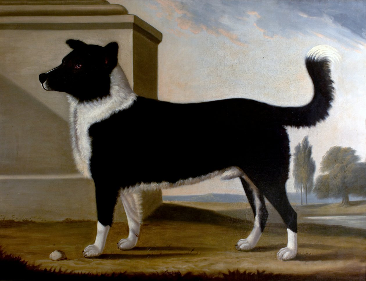 Lord Byrons Dog Boatswain (The Newfoundland), 1808 alkotó: Clifton Tomson