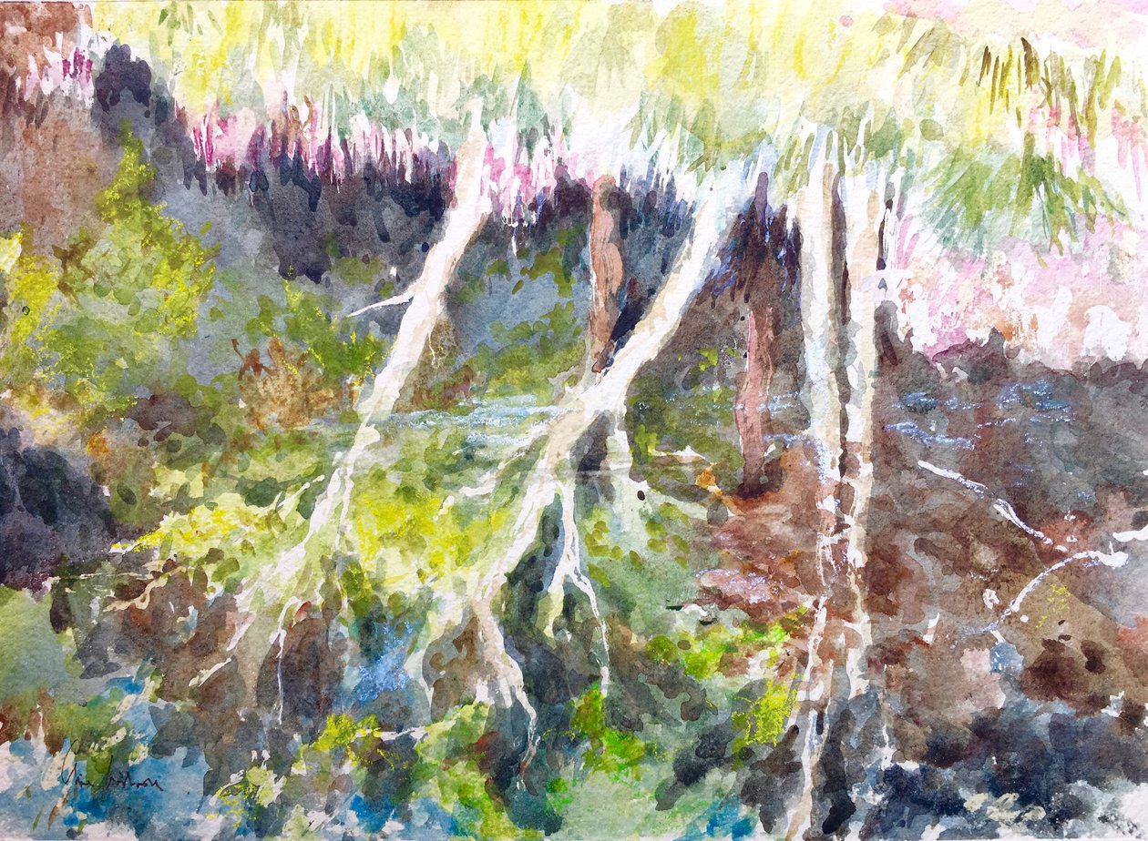 Erdei tükröződések, Silver Lake, 2017 (akvarell) alkotó: Clive Wilson