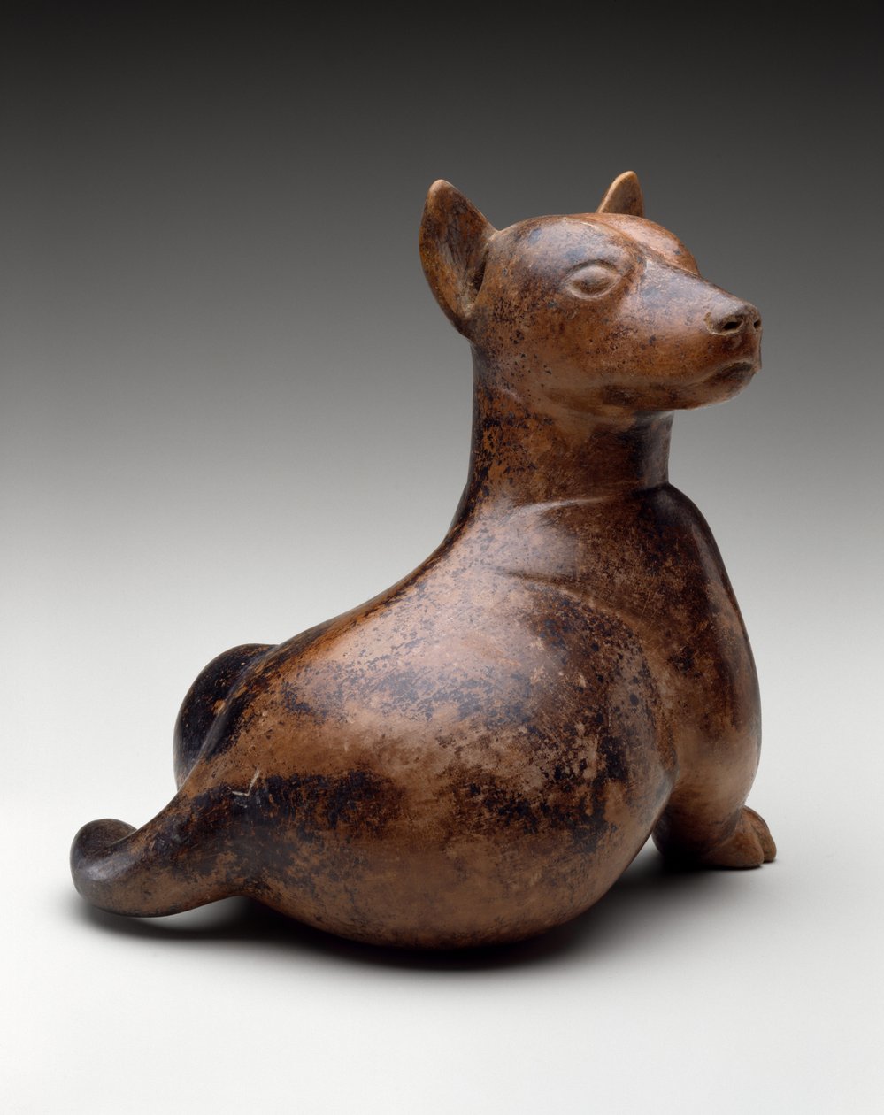 Félig ülő kutya, Mexikó, Proto-Classic, 100 BC – AD 300 (cserép) alkotó: Colima Culture