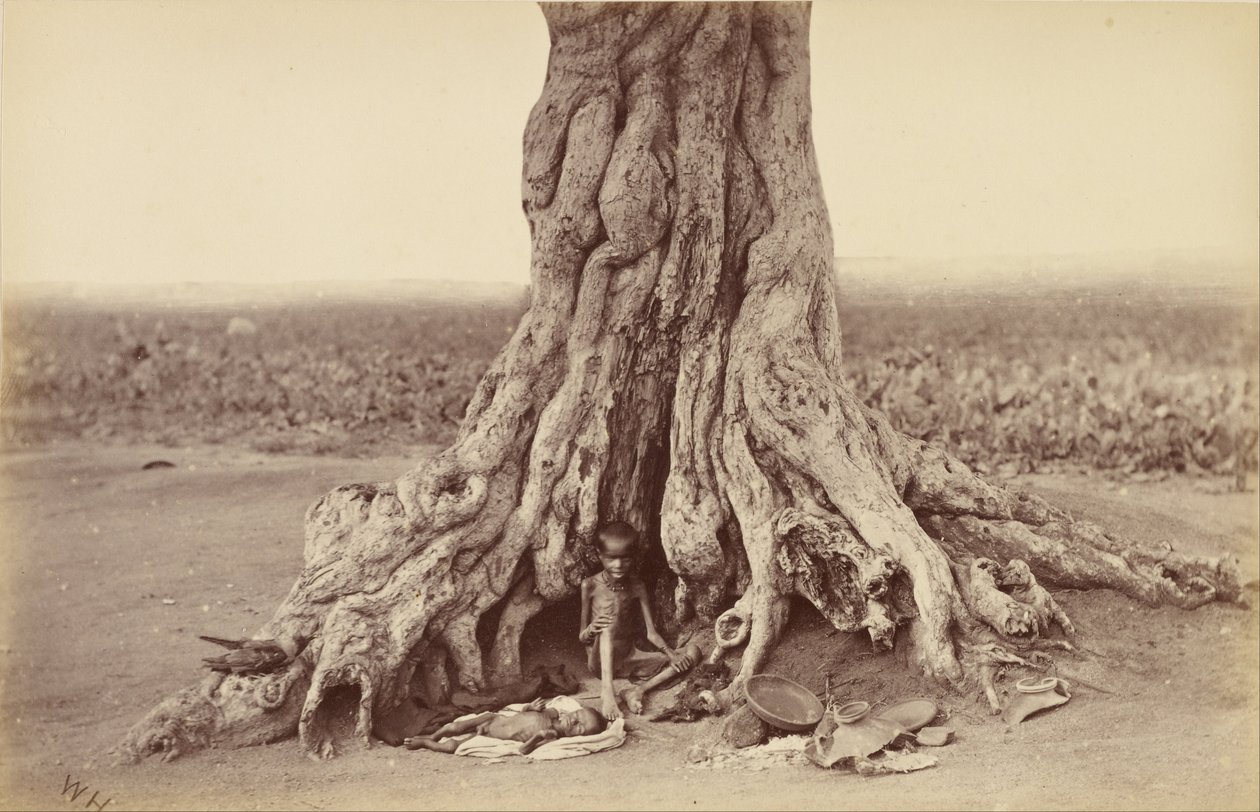 Elhagyott alkotó: Willoughby Wallace Hooper