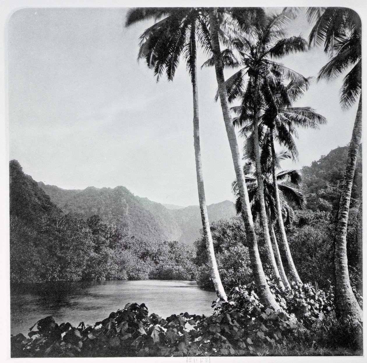 Hitiaa Lake, Tahitiből, Londonban, 1882 alkotó: Colonel Stuart Wortley