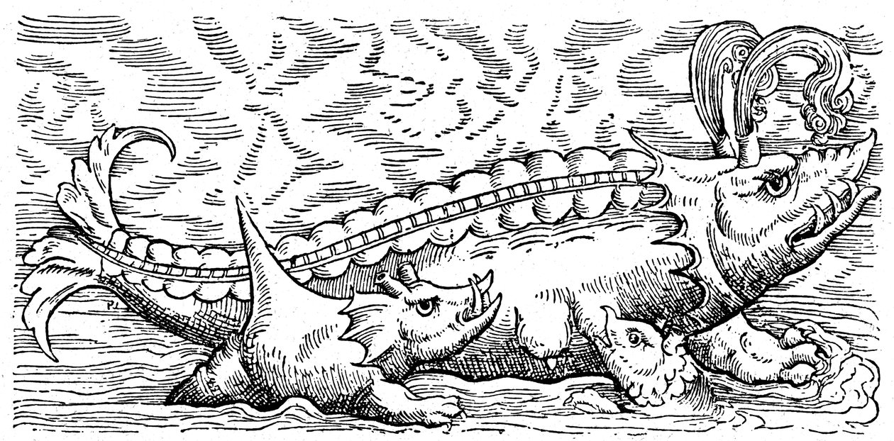 Breastfeeding whale and sea pig alkotó: Conrad (after) Gesner