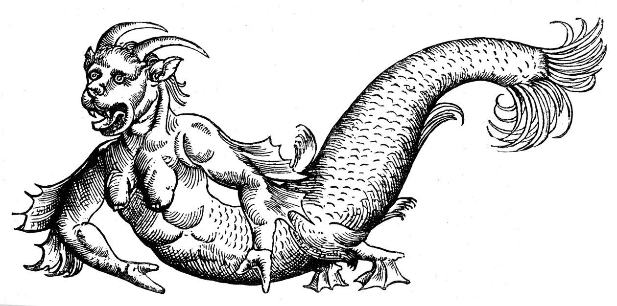 A tengerek ördöge alkotó: Conrad (after) Gesner