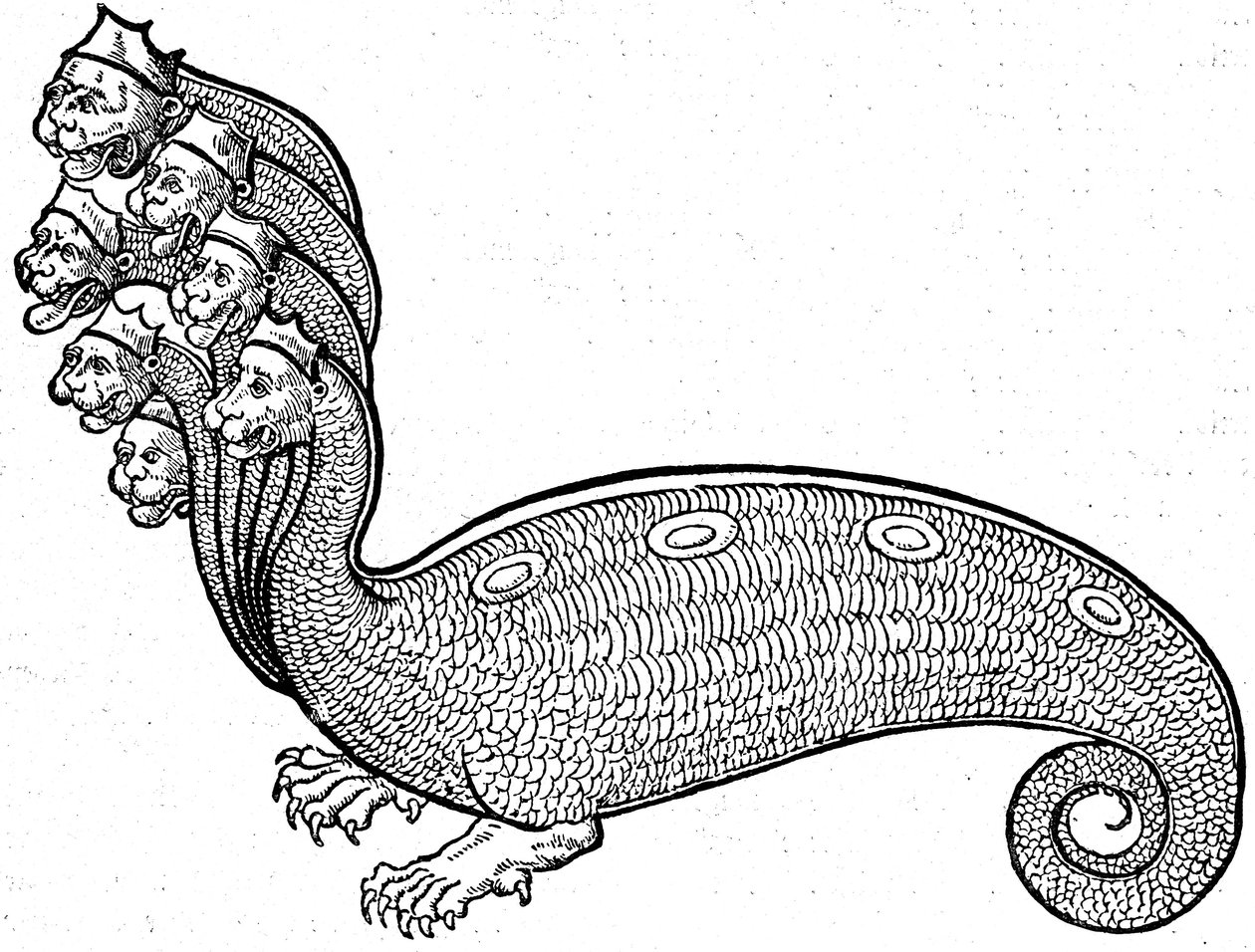 Szörny Hidra alkotó: Conrad (after) Gesner