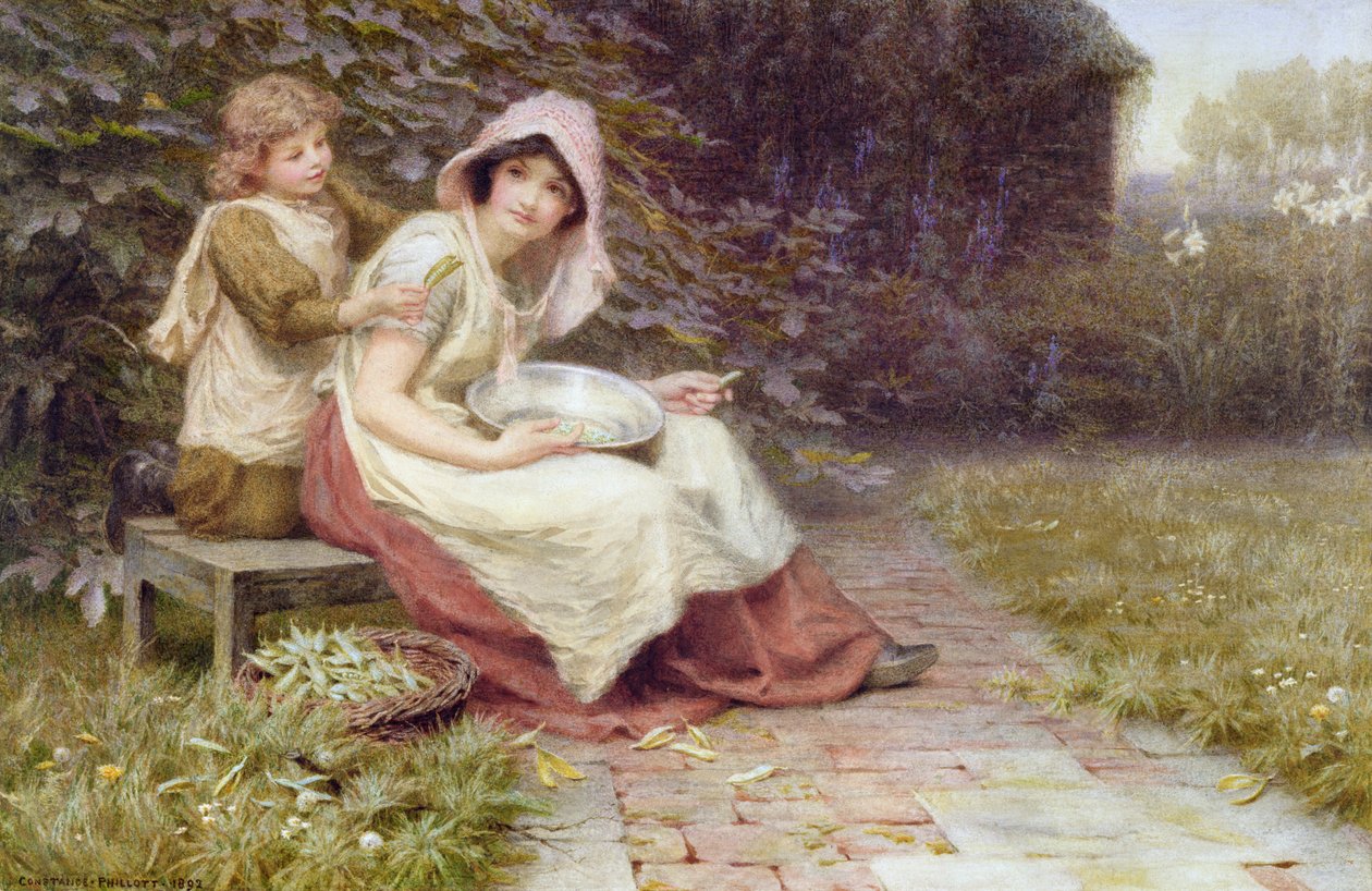 Borsó héja alkotó: Constance Phillott