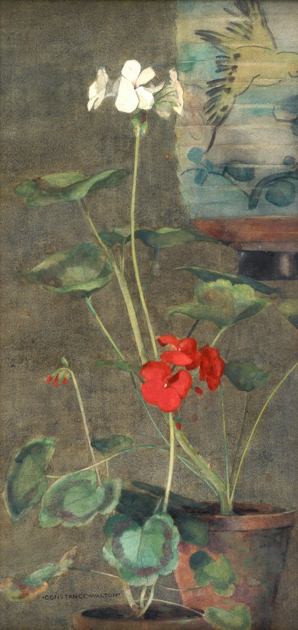 Muskátlik és japán lámpás (akvarell papíron) alkotó: Constance Walton