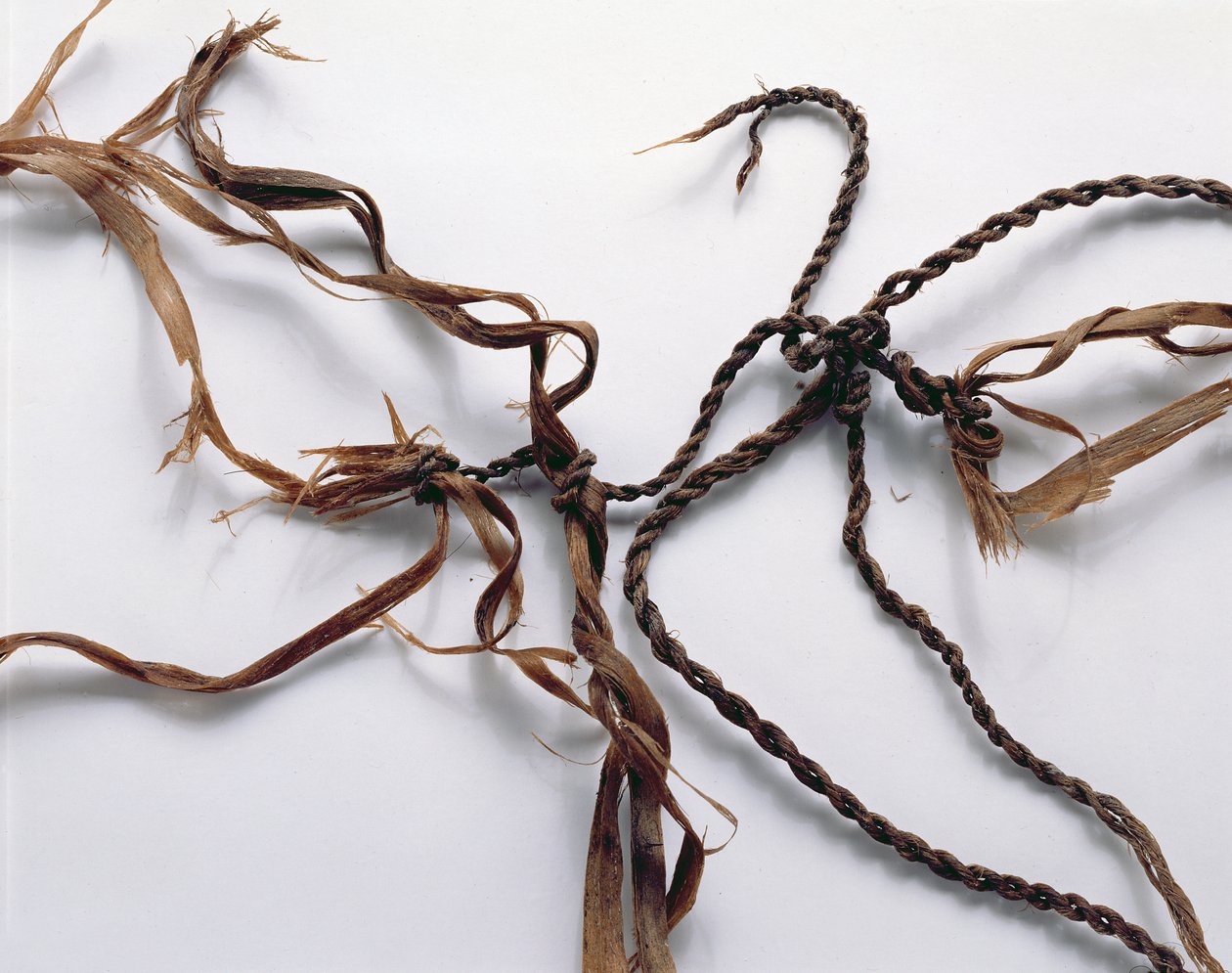 Valószínűleg madarak fogására használt háló, amelyet az Oetzi Iceman (fű) mellett találtak. alkotó: Copper Age