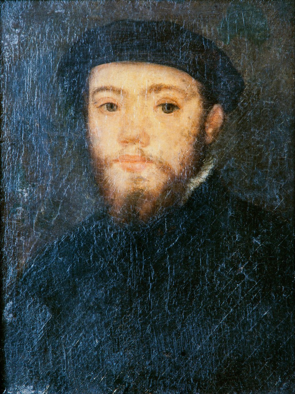Egy férfi portréja alkotó: Corneille de Lyon