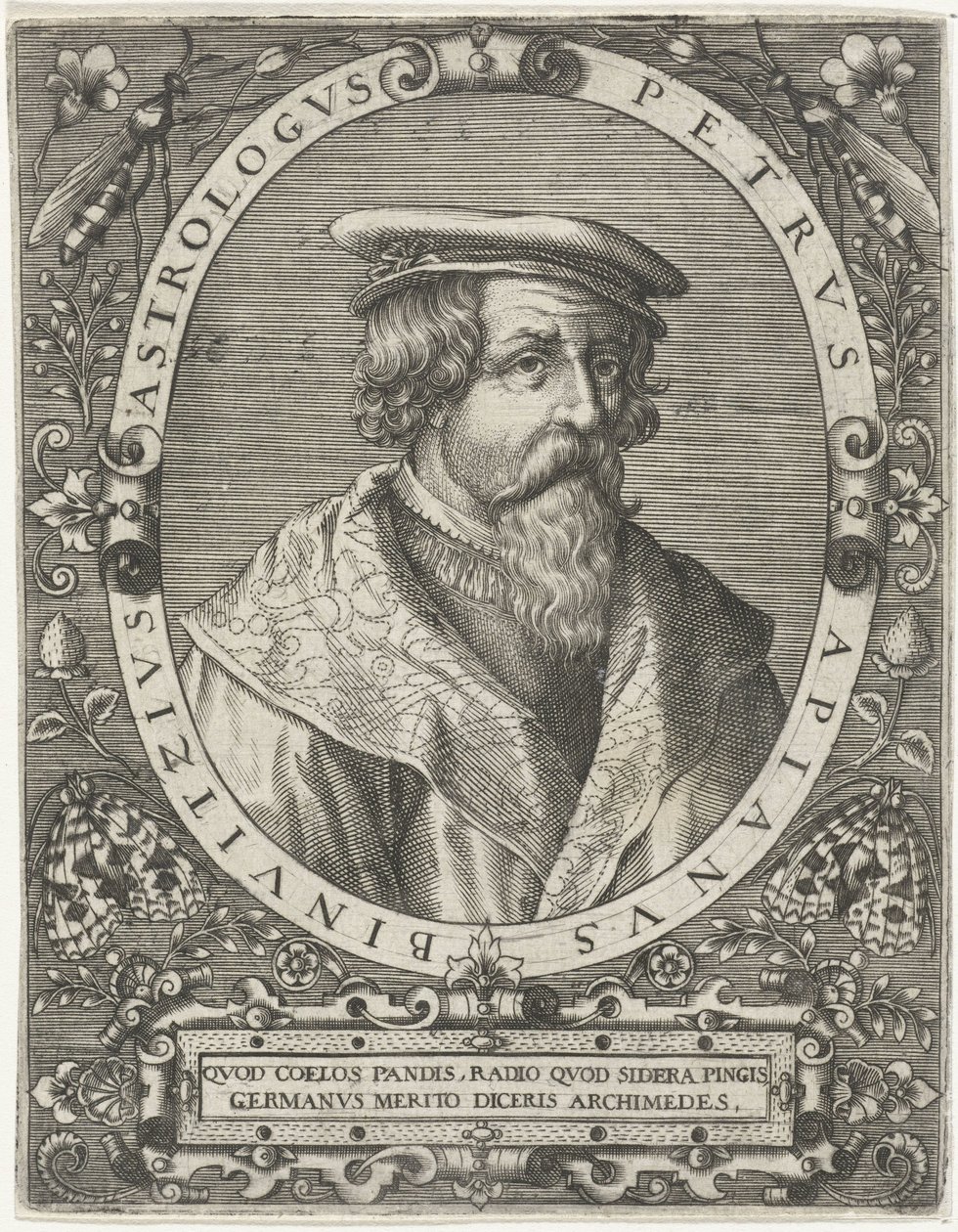 Peter Apianus portréja Petrus Apianus Binuitzius (cím a tárgyon) alkotó: Cornelis Galle (I)