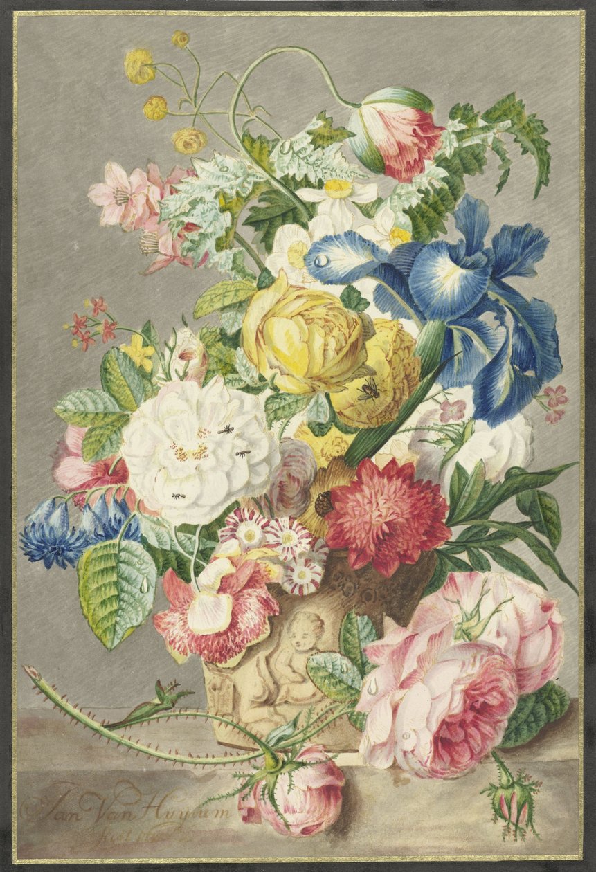 Csokor alkotó: Cornelis Ploos van Amstel