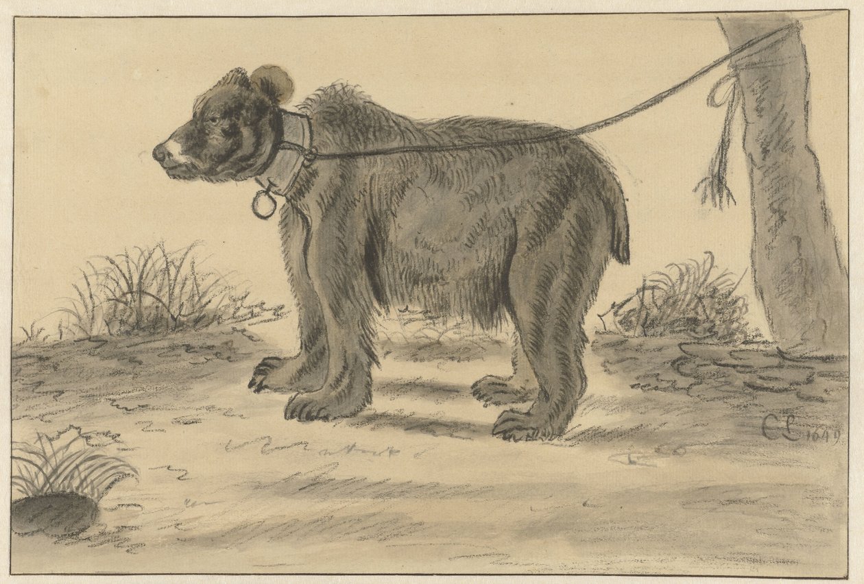 Medve egy fához kötve alkotó: Cornelis Saftleven