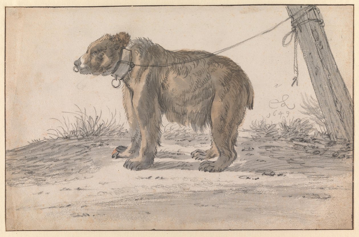 Egy medve kötélen alkotó: Cornelis Saftleven