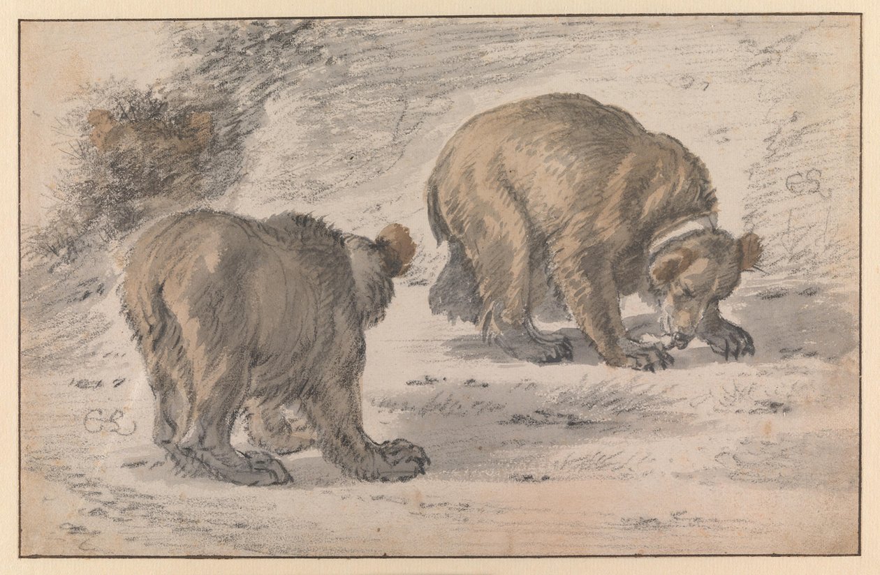 Medve különböző testhelyzetekben alkotó: Cornelis Saftleven