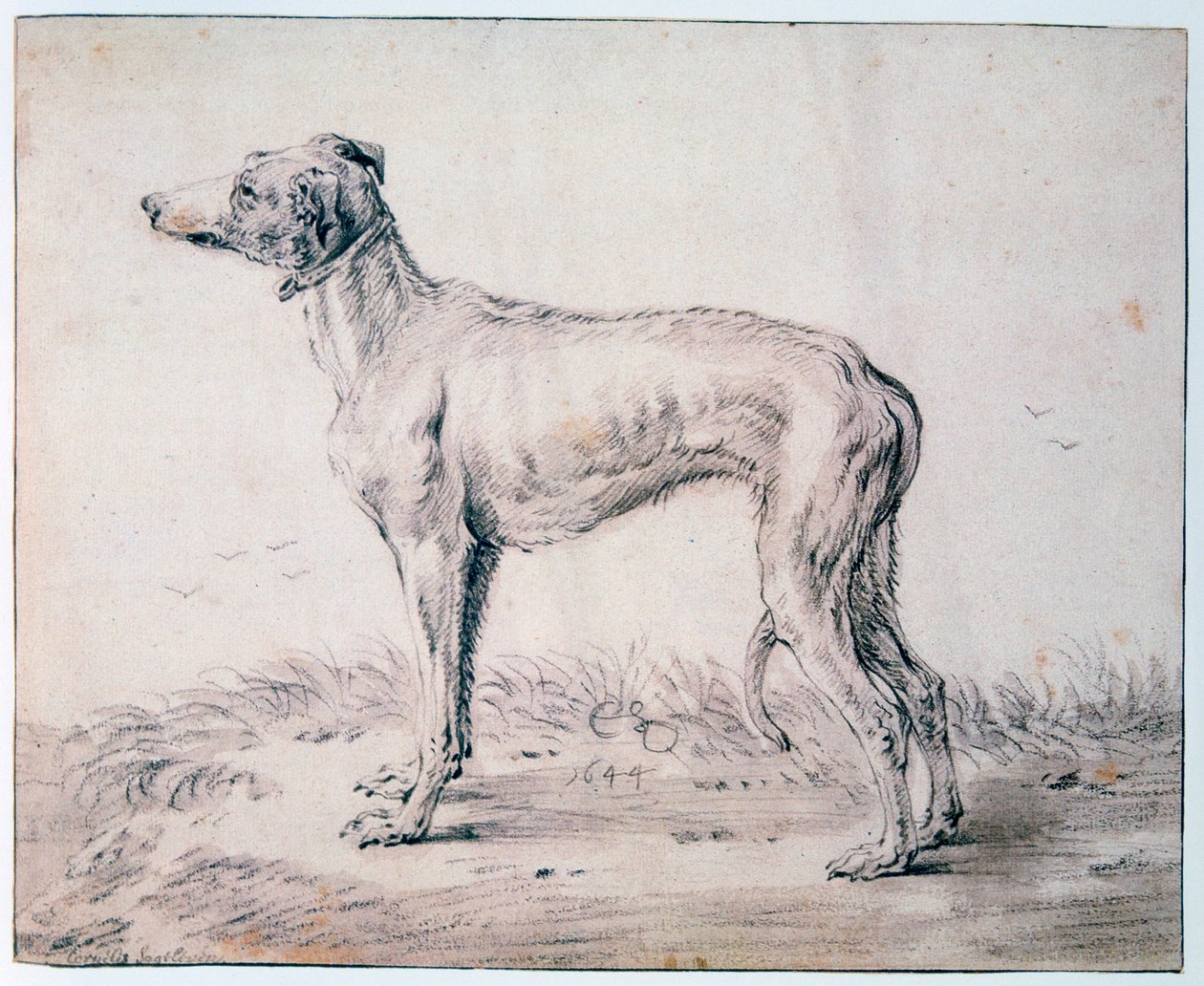 Agár, 1644 alkotó: Cornelis Saftleven