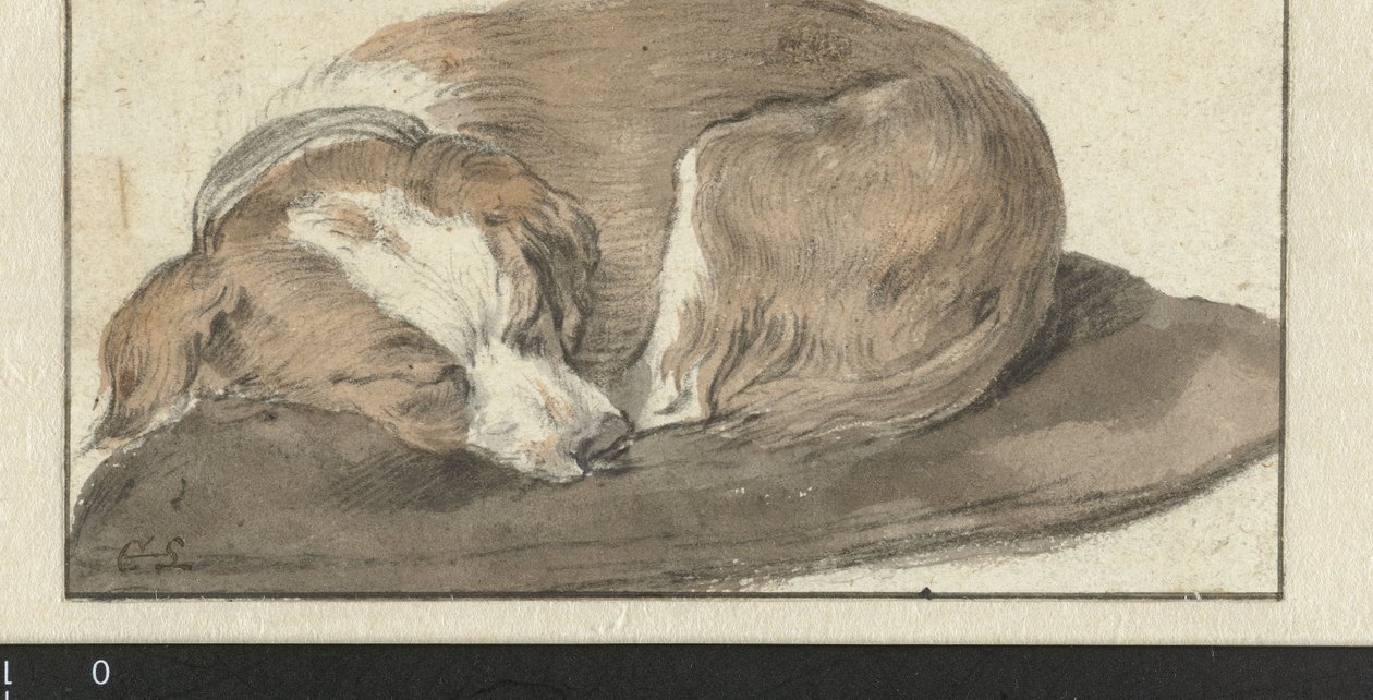 Alvó kutya alkotó: Cornelis Saftleven