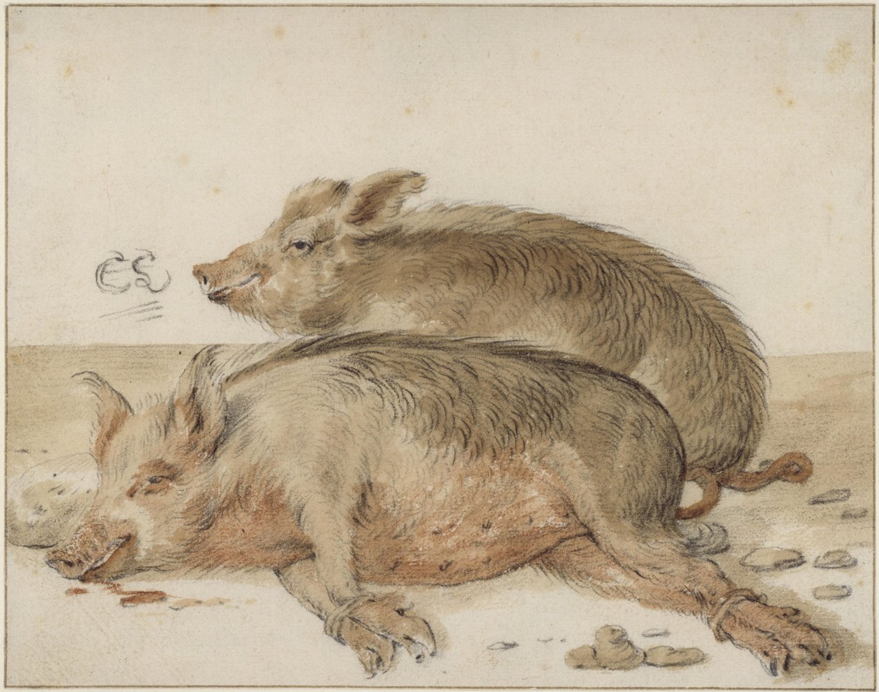 Két disznó alkotó: Cornelis Saftleven