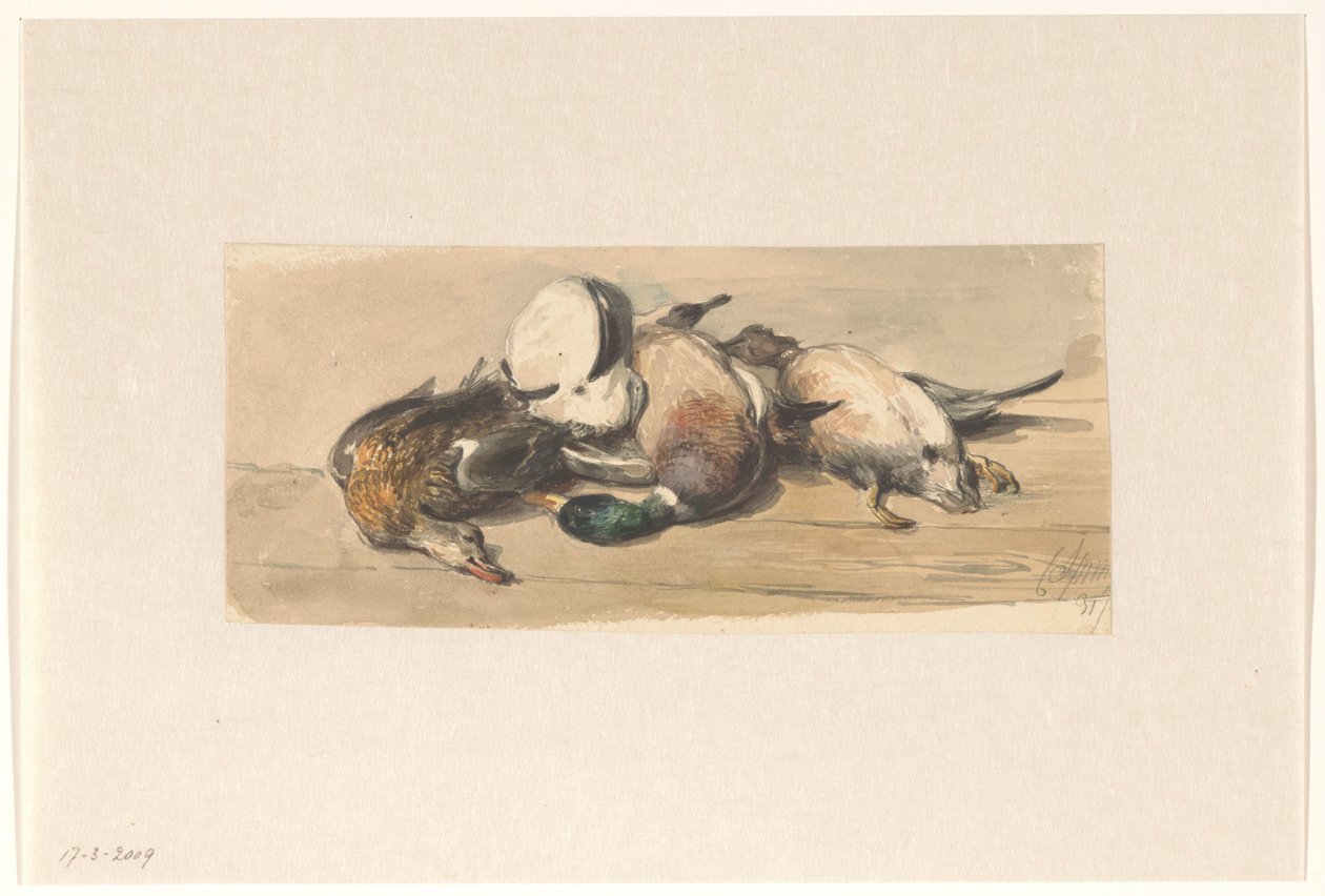 Csendélet négy kacsával alkotó: Cornelis Springer