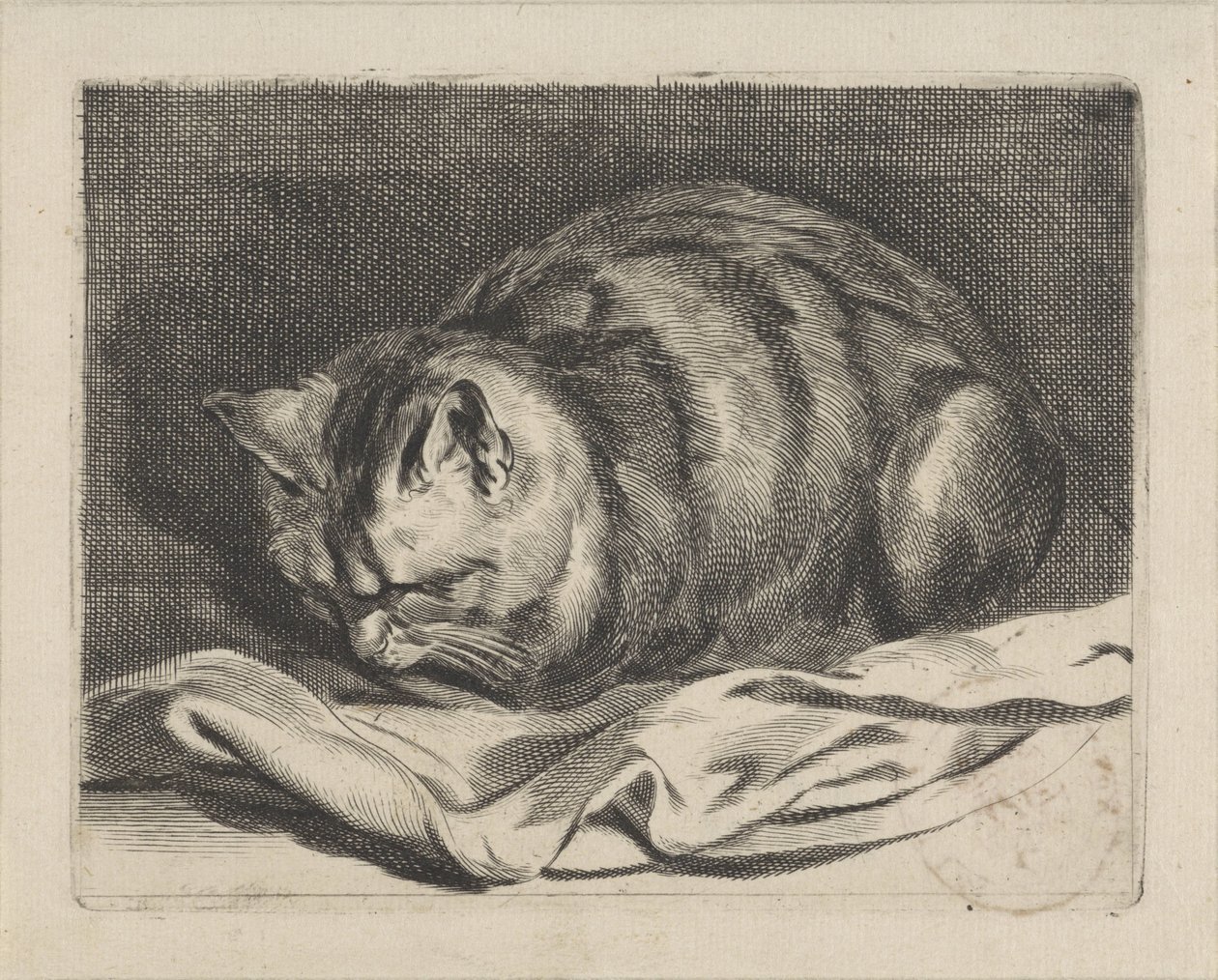 kiscica alkotó: Cornelis Visscher (II)
