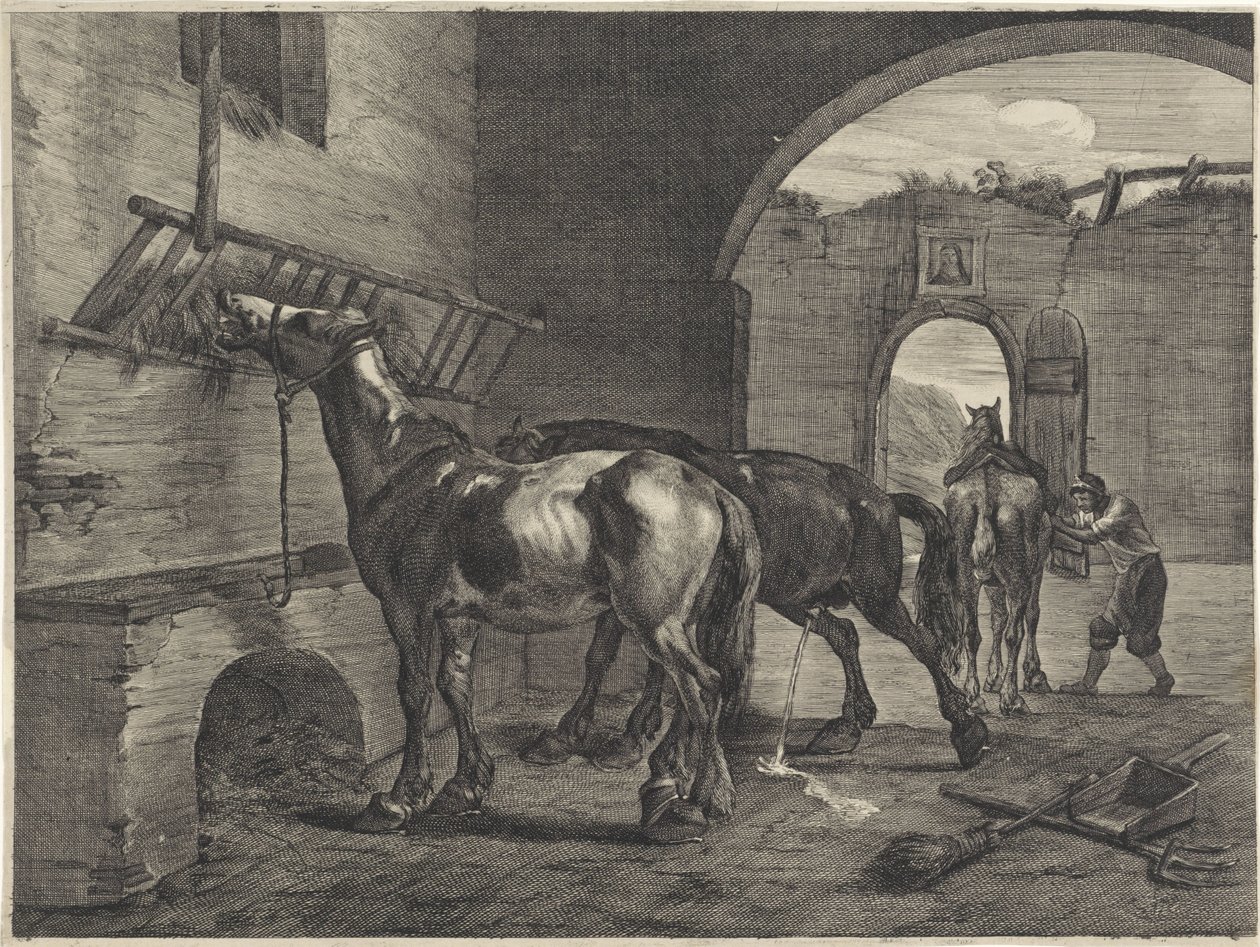 Stabil alkotó: Cornelis Visscher (II)