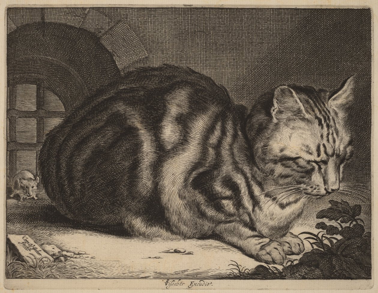 A nagy macska alkotó: Cornelis Visscher