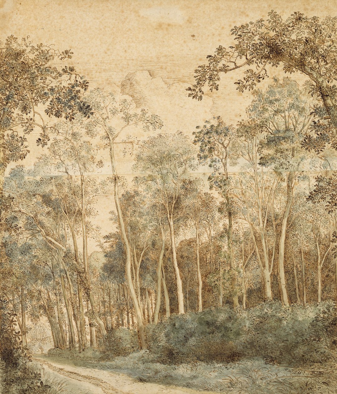 Erdős táj (toll és barna tinta és wc papíron) alkotó: Hendrick Cornelisz. Vroom