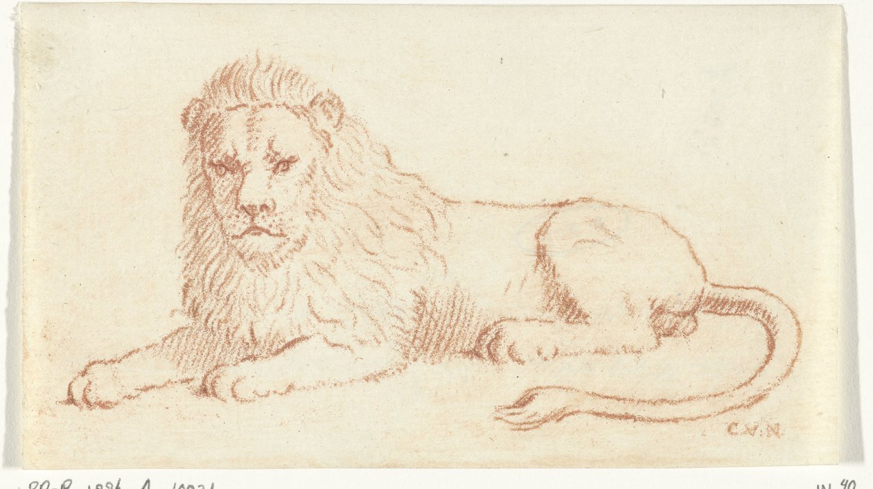 Oroszlán alkotó: Cornelis van Noorde