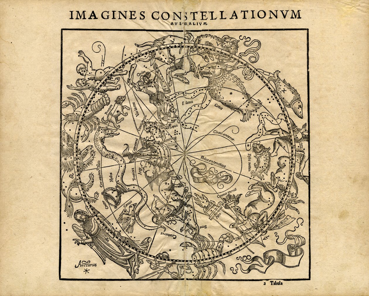 Constellationum Australium (déli égbolt) képzeli el. alkotó: Coronensis & Petri Heinrich Honter
