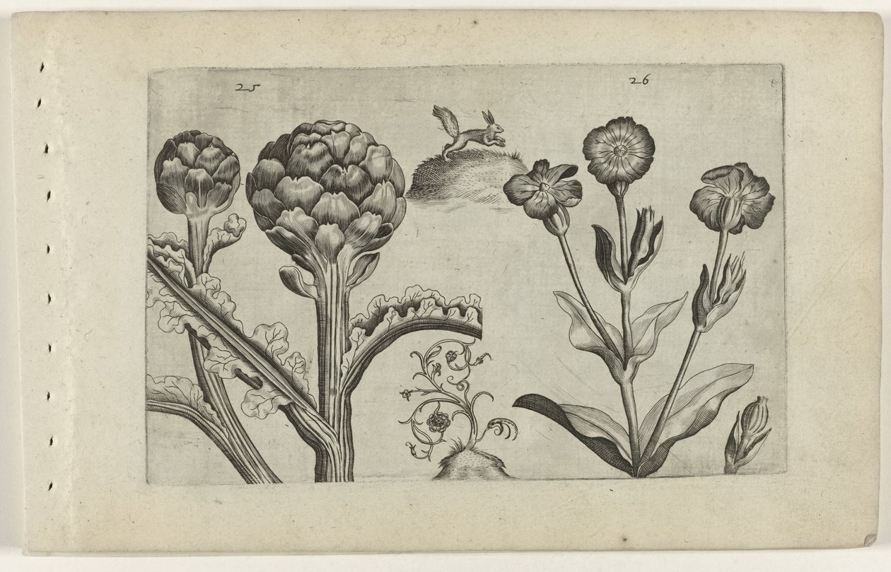 Artisjok en prikneus Ismerje meg a liliomokat (sorozat címe) alkotó: Crispijn van de Passe (I) (attributed to)