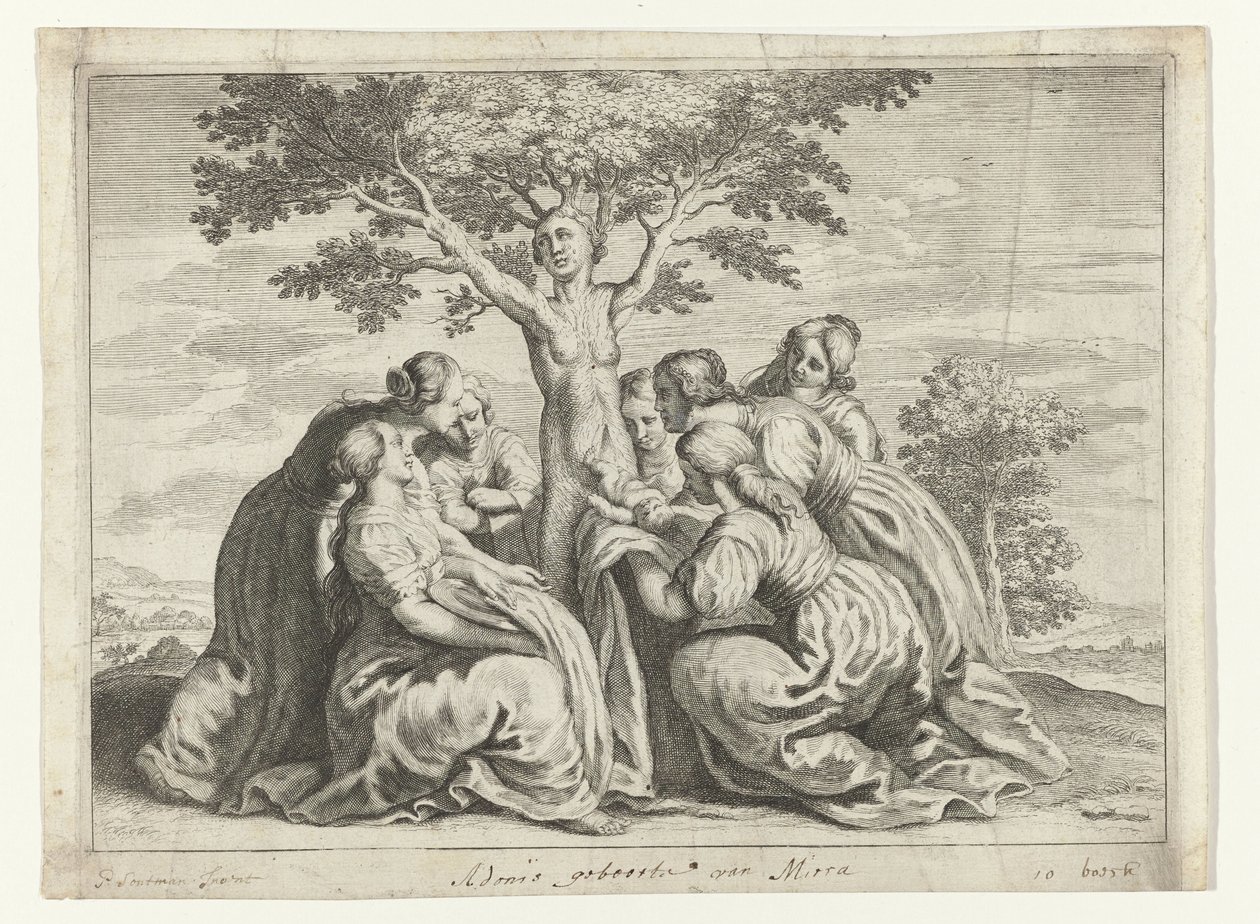 Adonis születése Ovidius metamorfózisai (sorozat címe) alkotó: Crispijn van de Passe (II) (workshop of)