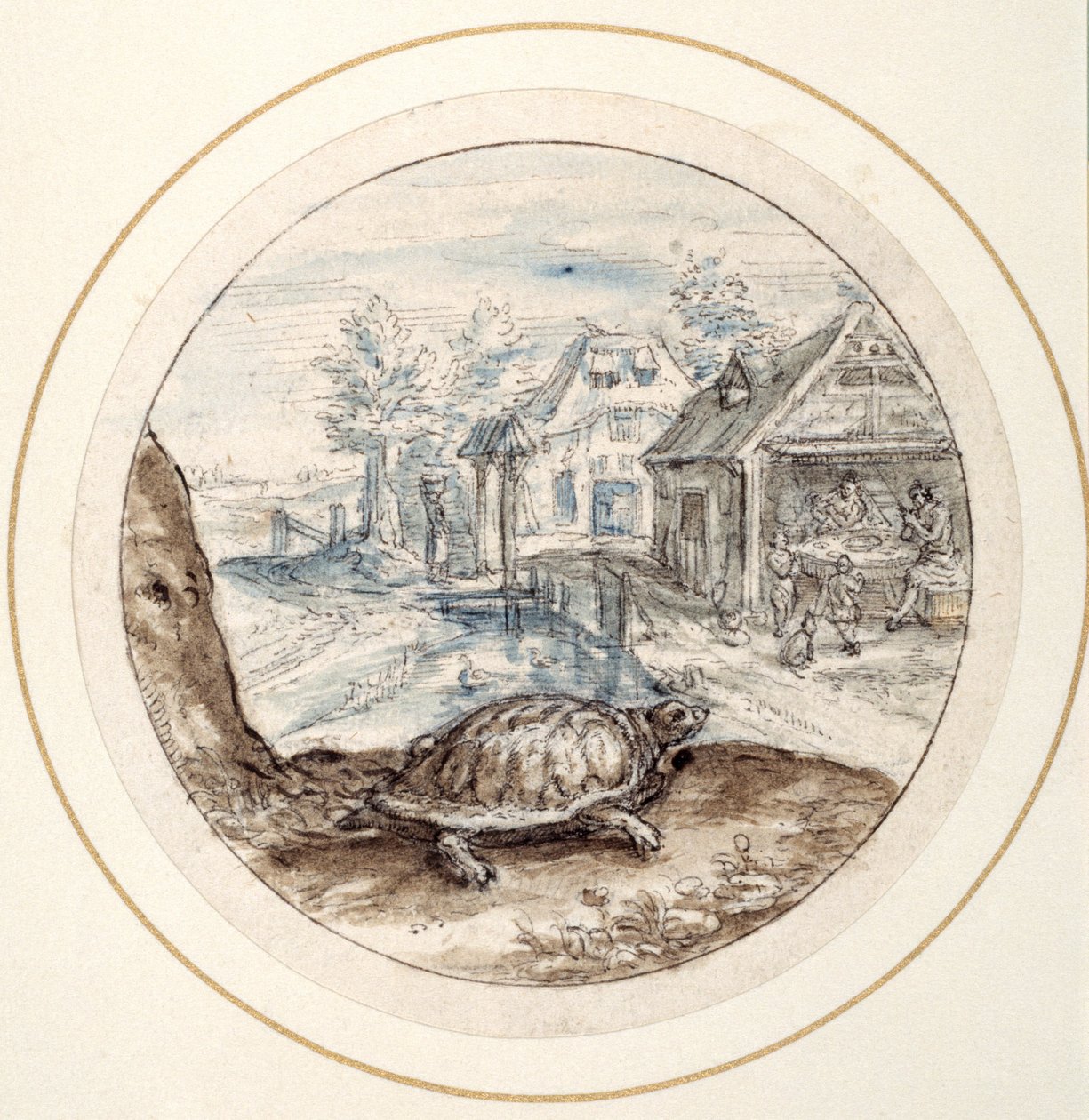 Teknősbéka, 17. század eleje (toll és barna tinta, barna és kék mázolással) alkotó: Crispin I de Passe