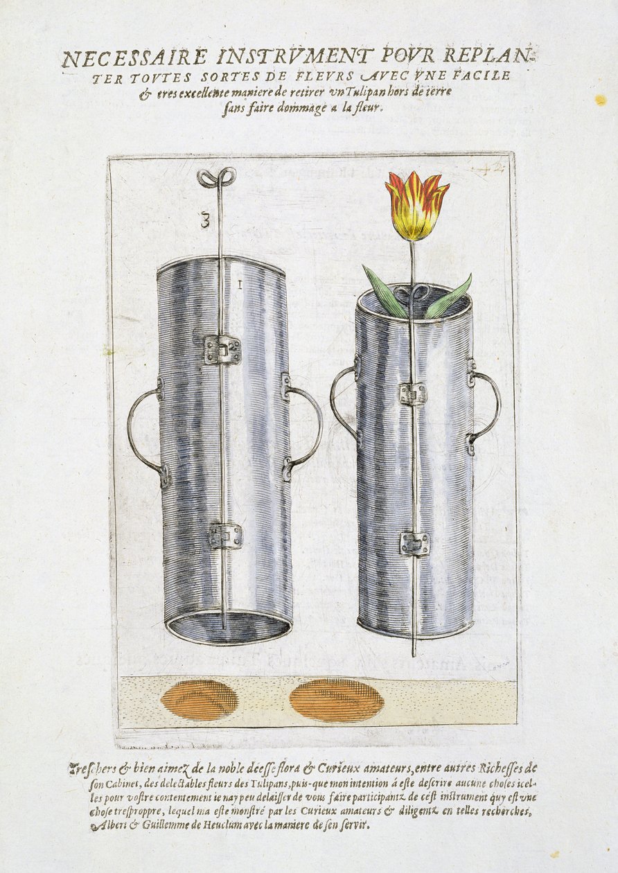 Virágok újraültetésére szolgáló eszköz, a „Hortus Floridus”-tól, 1614-1515 alkotó: Crispin  Passe