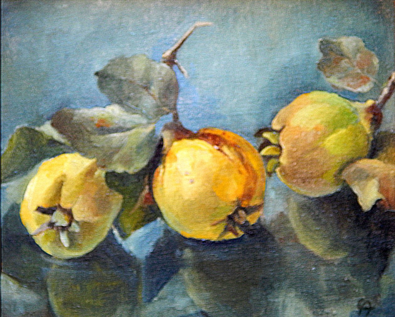 Birs, 2011, alkotó: Cristiana Angelini